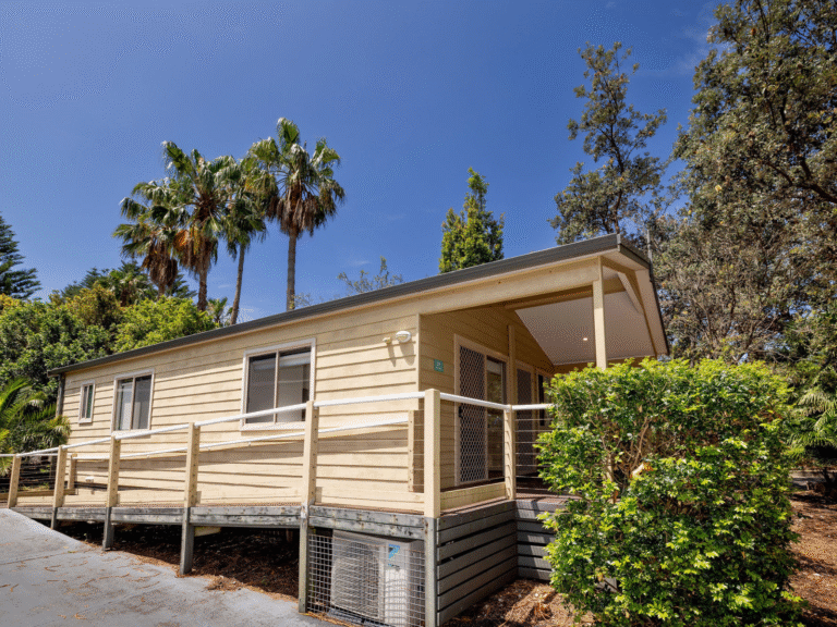 Palm Cabin – Accessible